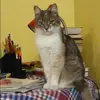Отзыв от Майя Корнеева